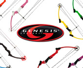 Original Genesis Bow