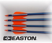 Easton Arrows